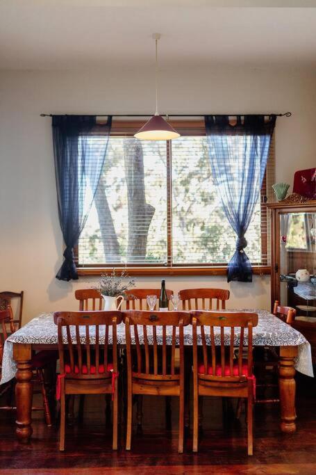 The Black Cockatoo - Secret Garden Treetops Home Katoomba Exterior foto