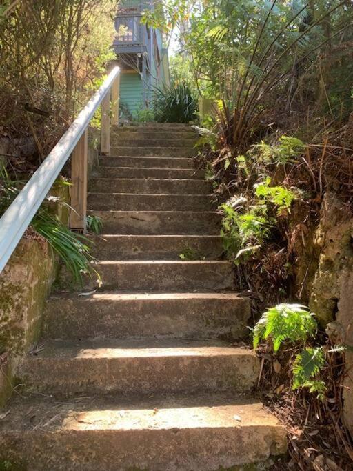 The Black Cockatoo - Secret Garden Treetops Home Katoomba Exterior foto