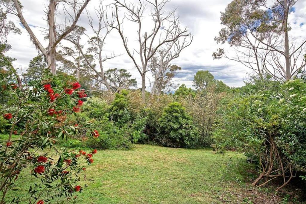 The Black Cockatoo - Secret Garden Treetops Home Katoomba Exterior foto