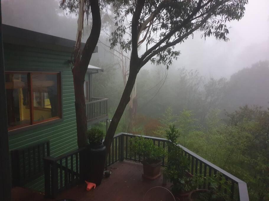 The Black Cockatoo - Secret Garden Treetops Home Katoomba Exterior foto
