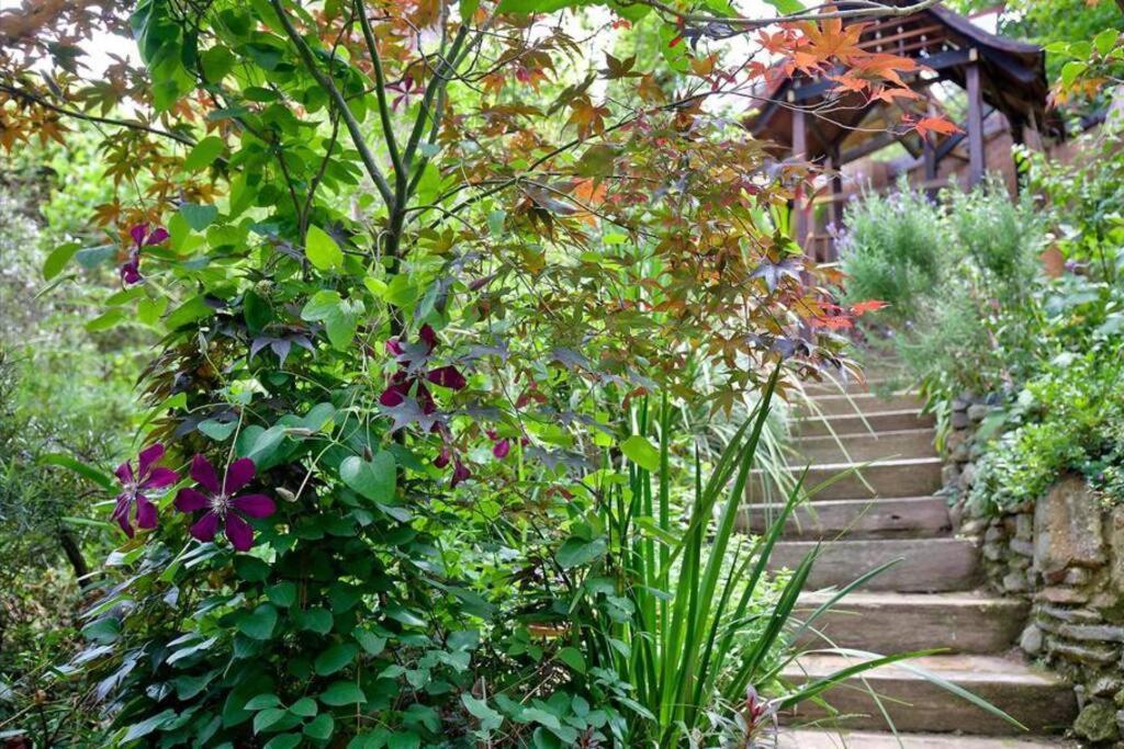 The Black Cockatoo - Secret Garden Treetops Home Katoomba Exterior foto