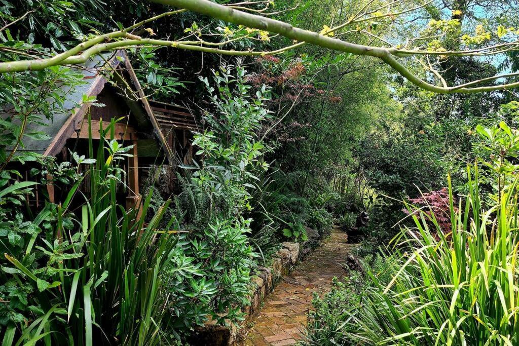 The Black Cockatoo - Secret Garden Treetops Home Katoomba Exterior foto