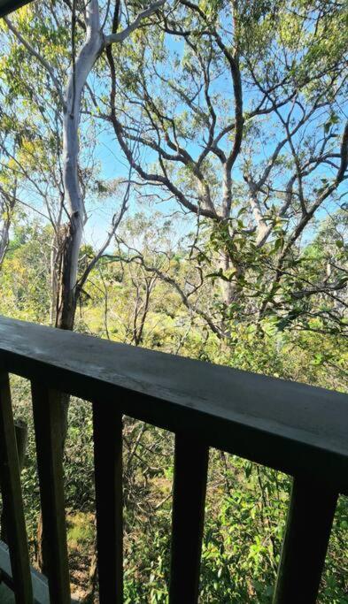 The Black Cockatoo - Secret Garden Treetops Home Katoomba Exterior foto
